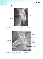 Sobotta  Atlas of Human Anatomy  Trunk, Viscera,Lower Limb Volume2 2006, page 287